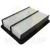 MOTAQUIP LVFA1749 Luchtfilter