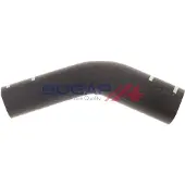 BOGAP A4228252 Radiateurslang