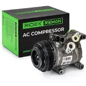 RIDEX 447K1003R Aircopomp