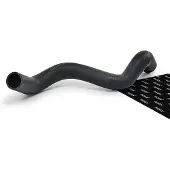 RIDEX 475R10218 Radiateurslang