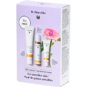 Dr. Hauschka Dr.Hauschka Trial Kit Rozencrème