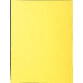 Exacompta Forever Sorteermap A4 Geel Manila 100% gerecycled 170 g/m² 100 Stuks