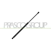 PRASCO ME3099055 Gasveer achterklep