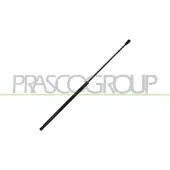 PRASCO VG0369001 Gasveer motorkap