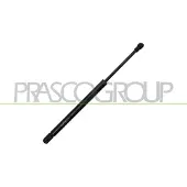 PRASCO VG2019055 Gasveer achterklep
