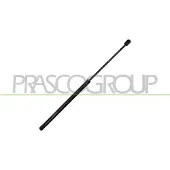 PRASCO CI2019056 Gasveer achterklep