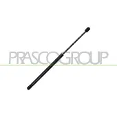 PRASCO OP4109065 Gasveer achterklep