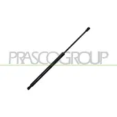 PRASCO PG3269065 Gasveer achterklep