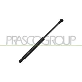 PRASCO AA0909055 Gasveer achterklep