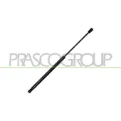 PRASCO SK3249055 Gasveer achterklep