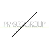 PRASCO VG0389001 Gasveer motorkap