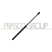 PRASCO BM8229005 Gasveer motorkap