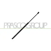 PRASCO OP4209065 Gasveer achterklep