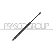 PRASCO OP3549055 Gasveer achterklep