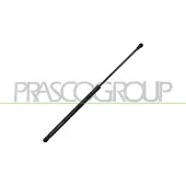 PRASCO CI7059055 Gasveer achterklep
