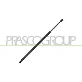 PRASCO VG9049055 Gasveer achterklep