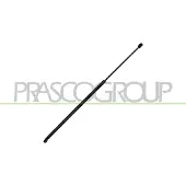 PRASCO VG4009001 Gasveer motorkap