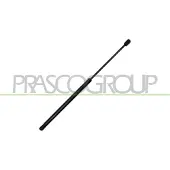 PRASCO AD3209065 Gasveer achterklep