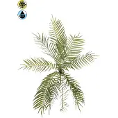 Emerald Fish bone fern bush UV 70 cm kunstbloem