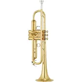 Yamaha YTR-8310Z 03 BOBBY SHEW GOLD LACQUER