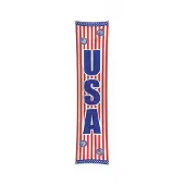Folat Amerika USA party Banier