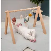 Trixie Bliss babygym unisex