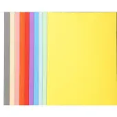 Exacompta FOREVER 170 - Pak van 100 dossiermappen 170g/m2- 24x32cm voor A4. - Geassorteerd - 420000E