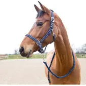 Hankkija.fi Halster en touwset voor paarden Cooper