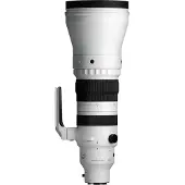 Sigma 300-600mm f/4.0 DG OS Sports SE