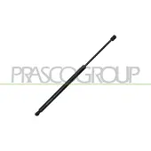 PRASCO FD6029055 Gasveer achterklep
