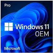 Microsoft Windows 11 Home 64 Bit DVD OEM UK
