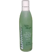InSPAration Bubbelbad Geur - Cooling Spearmint