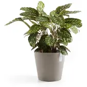 Ecopot's Bloempot Amsterdam Taupe D 25 H 22 Cm