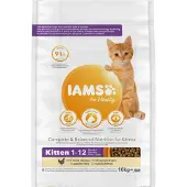 IAMS Kat Kitten/Junior Kip 10 kg