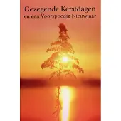 Benza Dubbele Religieuze Kerstkaarten 14 - 6 stuks