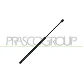 PRASCO OP0382124 Ventilatiegrille, bumper