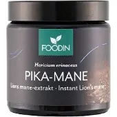 Foodin Pruikzwam Lion’s Mane Extract-