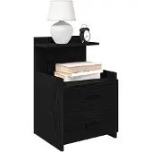 vidaXL Nachtkastjes 2 st met 2 lades zwart 40x36,5x62 cm
