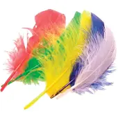 Bouhon pluimen 15 cm, 50 stuks