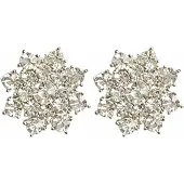 Charme Bijoux Clip oorbellen strass zilverkleur 2 cm