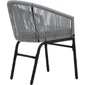 vidaXL Tuinstoelen 2 st PE-rattan antracietkleurig