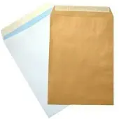 Sam Enveloppen Sam Bruin