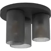 Eglo Plafondlamp Colomera smoke frosted glas