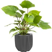 QUVIO Bloempot cement - 15 x 15 x 14 cm - Grijs