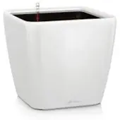 Lechuza Lechzua Quadro premium 50 LS Wit hoogglans