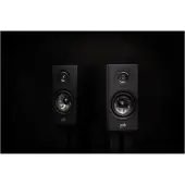 Polk Audio Reserve R100, Kabel, frequentiebereik 44 - 50000 Hz, impedantie 3,6 ohm, kleur: zwart