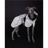 PAIKKA Raincoat 2.0