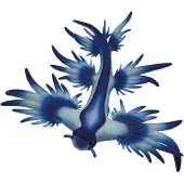 BULLYLAND Blauwe oceaan-slak, 0 stuks