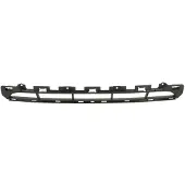 BLIC 6502-07-0022990P Ventilatiegrille, bumper
