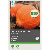 Intratuin Biologisch Groentezaden Pompoen (Cucurbita Maxima 'Amoro F1')
